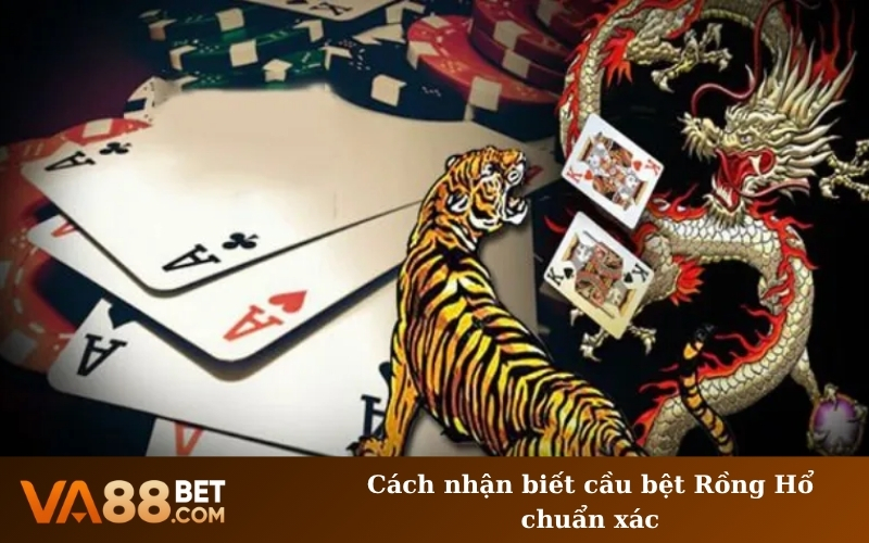 Cách nhận biết cầu bệt Rồng Hổ chuẩn xác