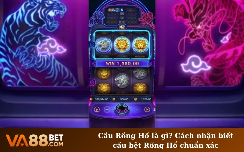 Cầu Rồng Hổ là gì? Cách nhận biết cầu bệt Rồng Hổ chuẩn xác