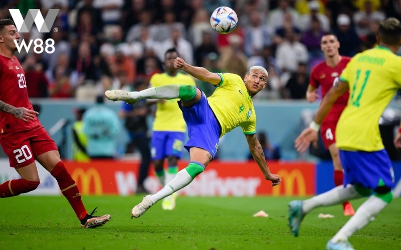 Xem xét điều kiện thời tiết và sân bãi