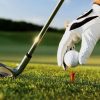 Golf: Môn thể thao của giới siêu giàu hay là một sự đầu tư trí tuệ?
