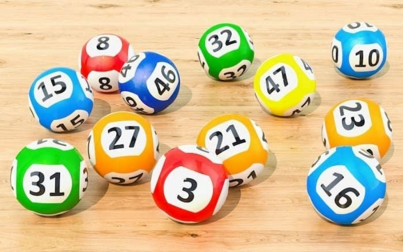 Mẹo nuôi khung 3 ngày giúp tăng tỉ lệ chiến thắng