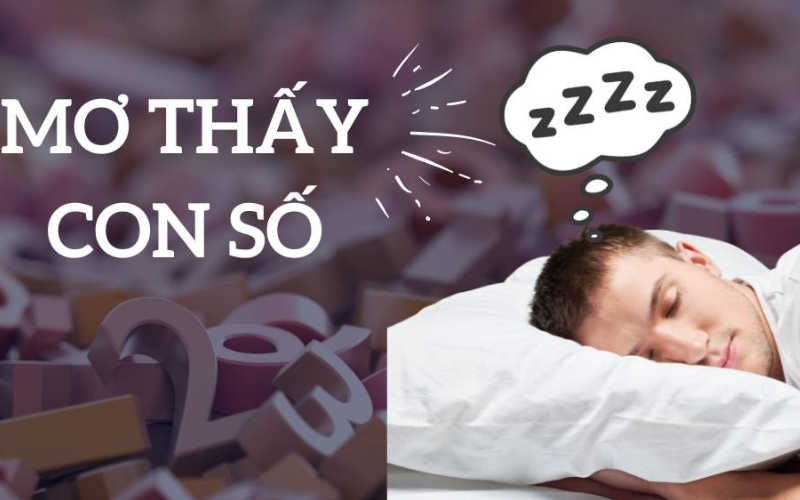 Giải mã giấc mơ tìm con số may mắn chính xác nhất 2026